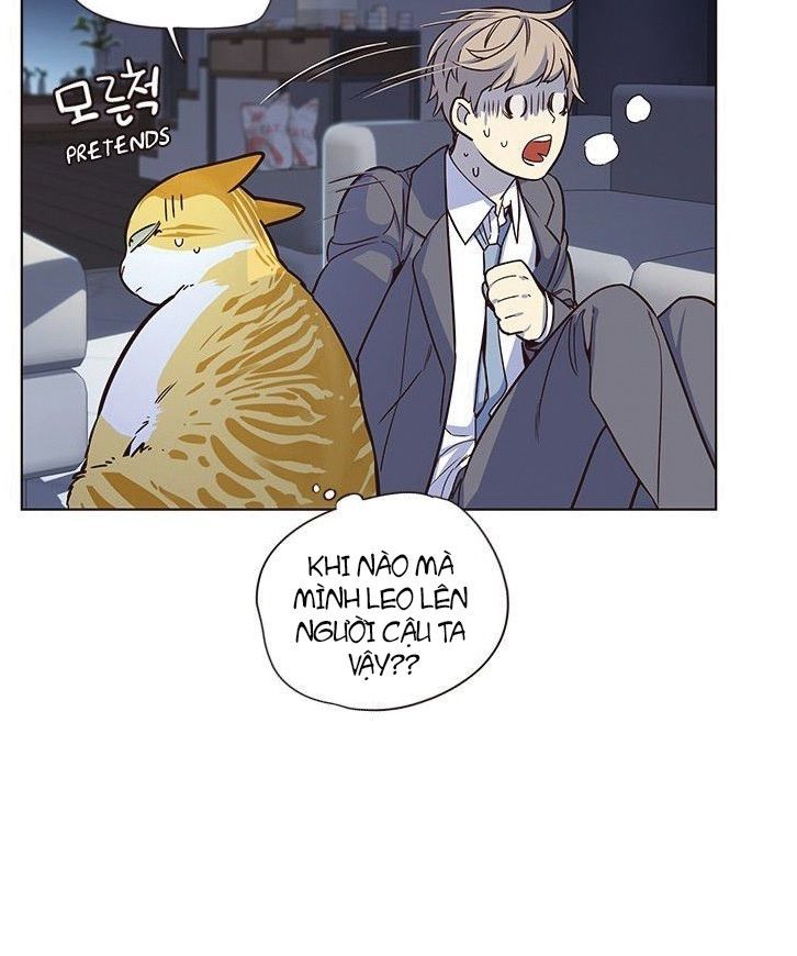Hóa thân thành mèo chapter 8 - Upload bởi truyensieuhay.com