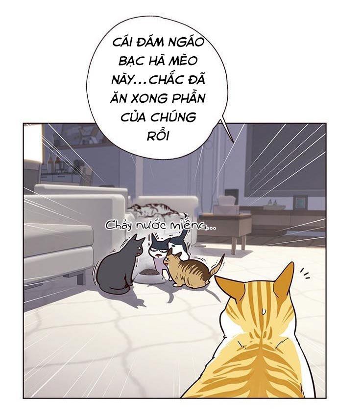 Hóa thân thành mèo chapter 9 - Upload bởi truyensieuhay.com
