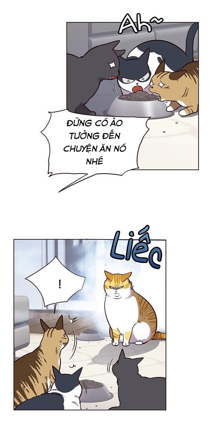 Hóa thân thành mèo chapter 9 - Upload bởi truyensieuhay.com