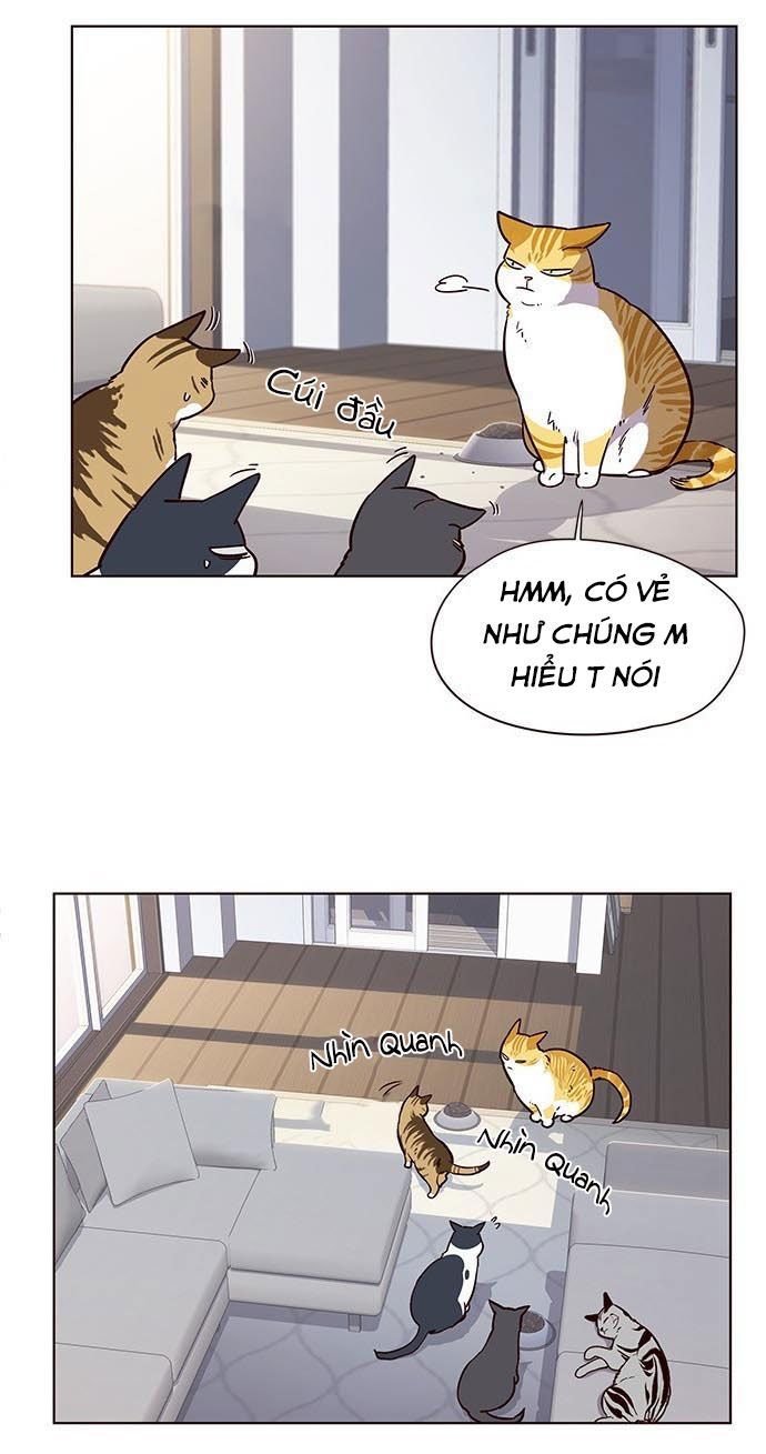 Hóa thân thành mèo chapter 9 - Upload bởi truyensieuhay.com