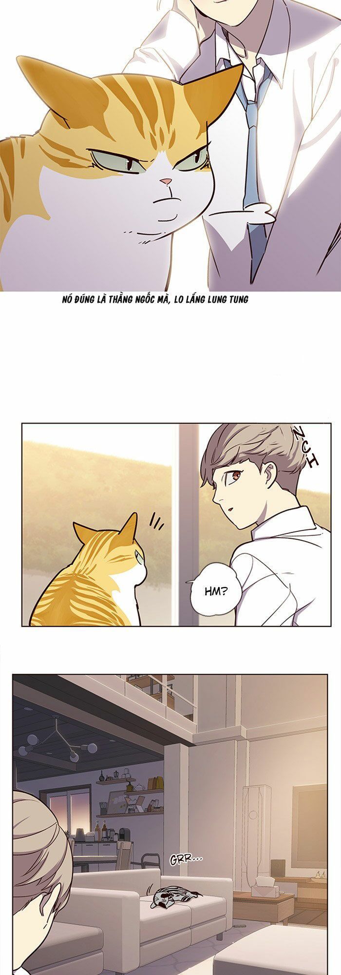 Hóa thân thành mèo chapter 10 - Upload bởi truyensieuhay.com