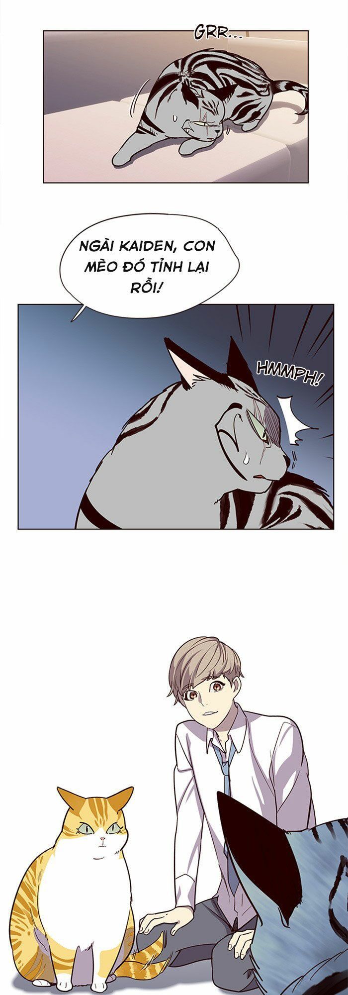 Hóa thân thành mèo chapter 10 - Upload bởi truyensieuhay.com
