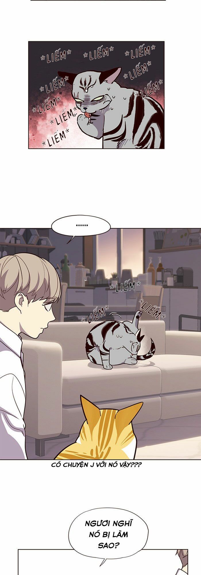 Hóa thân thành mèo chapter 10 - Upload bởi truyensieuhay.com