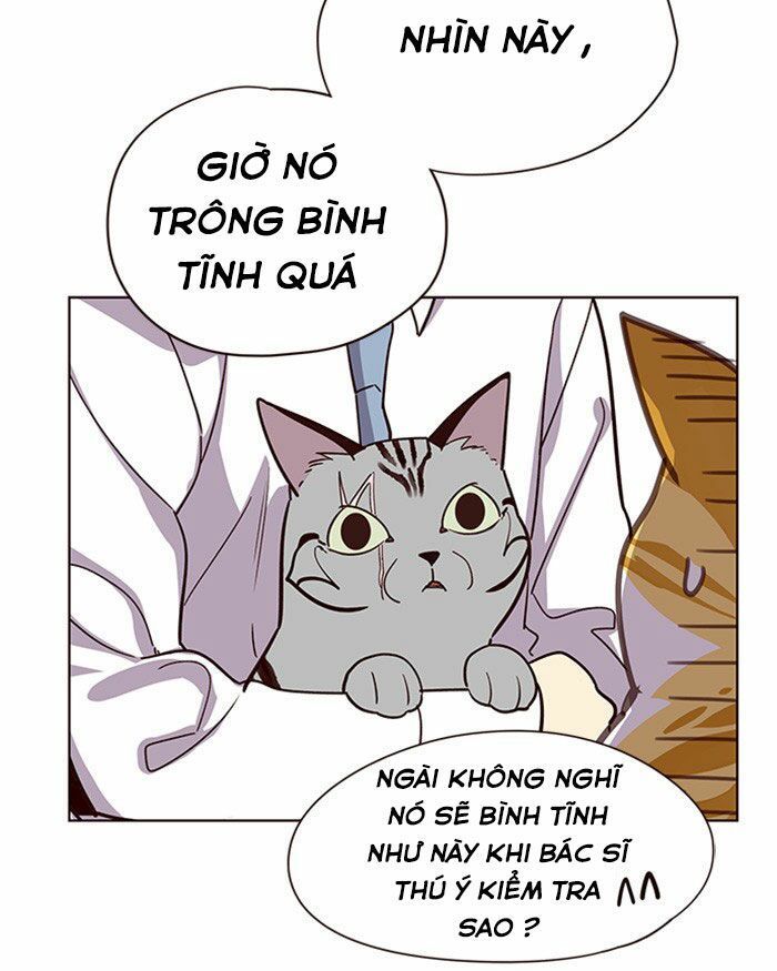 Hóa thân thành mèo chapter 10 - Upload bởi truyensieuhay.com
