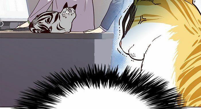 Hóa thân thành mèo chapter 10 - Upload bởi truyensieuhay.com