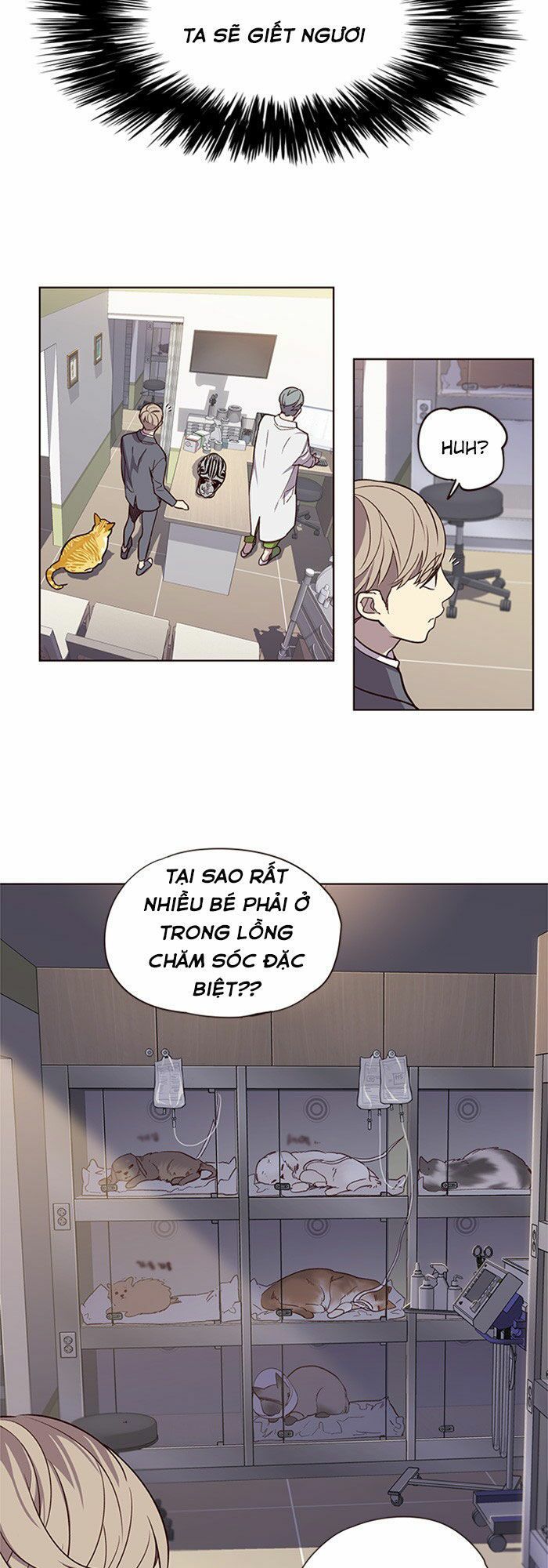 Hóa thân thành mèo chapter 10 - Upload bởi truyensieuhay.com