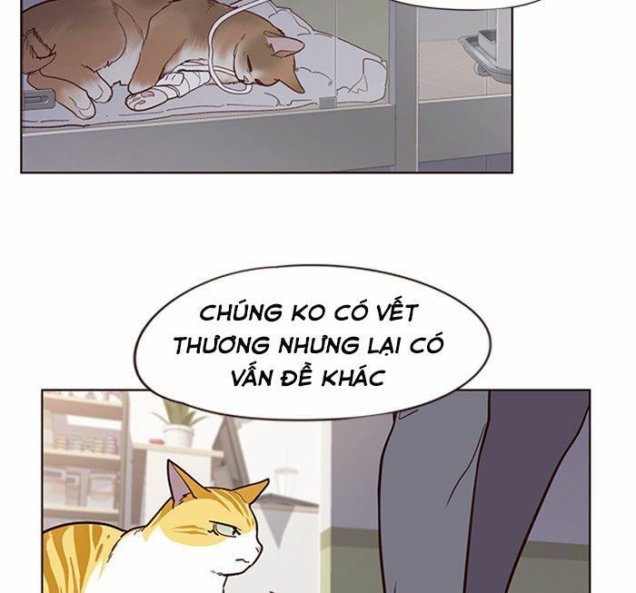 Hóa thân thành mèo chapter 10 - Upload bởi truyensieuhay.com