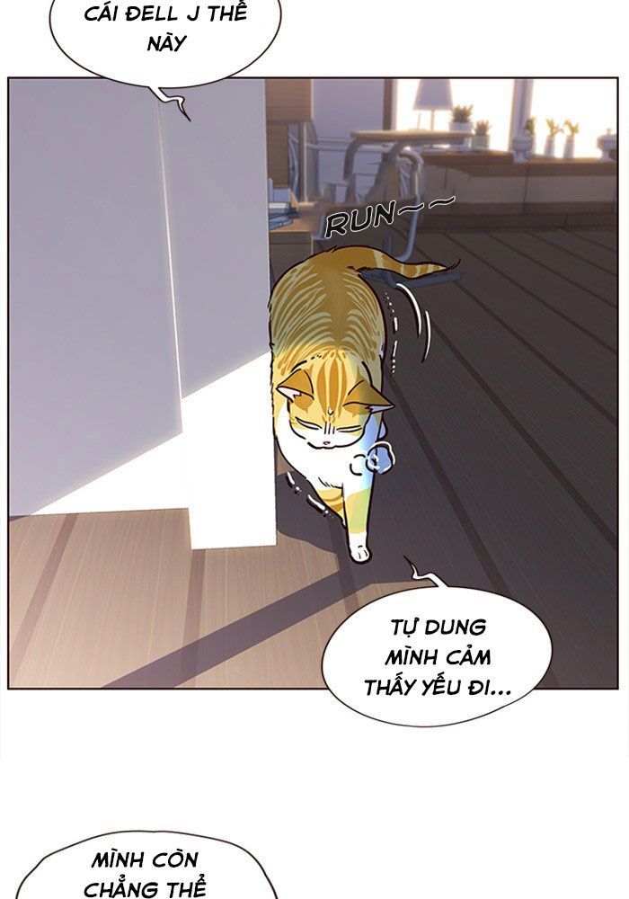 Hóa thân thành mèo chapter 11 - Upload bởi truyensieuhay.com