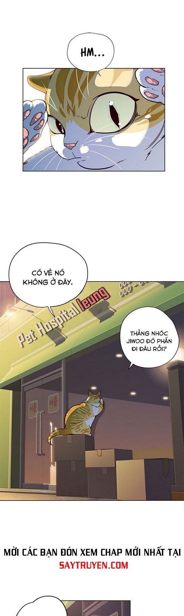 Hóa thân thành mèo chapter 13 - Upload bởi truyensieuhay.com