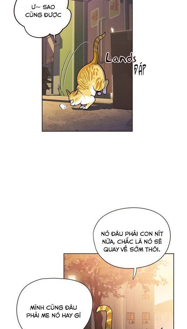 Hóa thân thành mèo chapter 13 - Upload bởi truyensieuhay.com