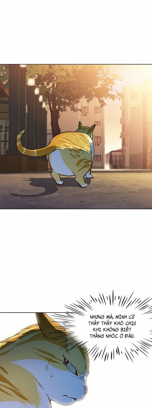 Hóa thân thành mèo chapter 13 - Upload bởi truyensieuhay.com