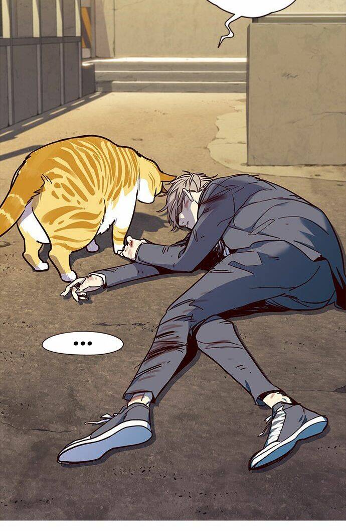 Hóa thân thành mèo chapter 14 - Upload bởi truyensieuhay.com