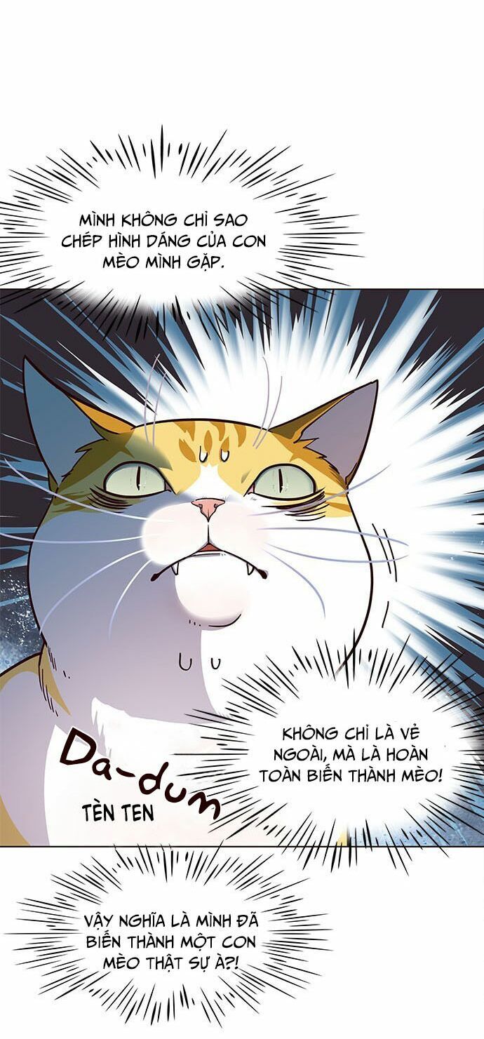 Hóa thân thành mèo chapter 16 - Upload bởi truyensieuhay.com