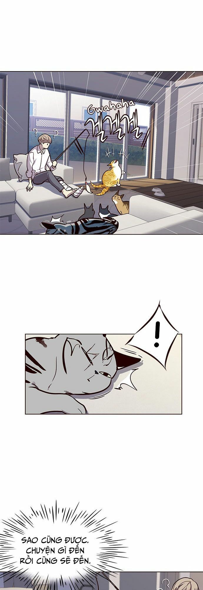 Hóa thân thành mèo chapter 16 - Upload bởi truyensieuhay.com