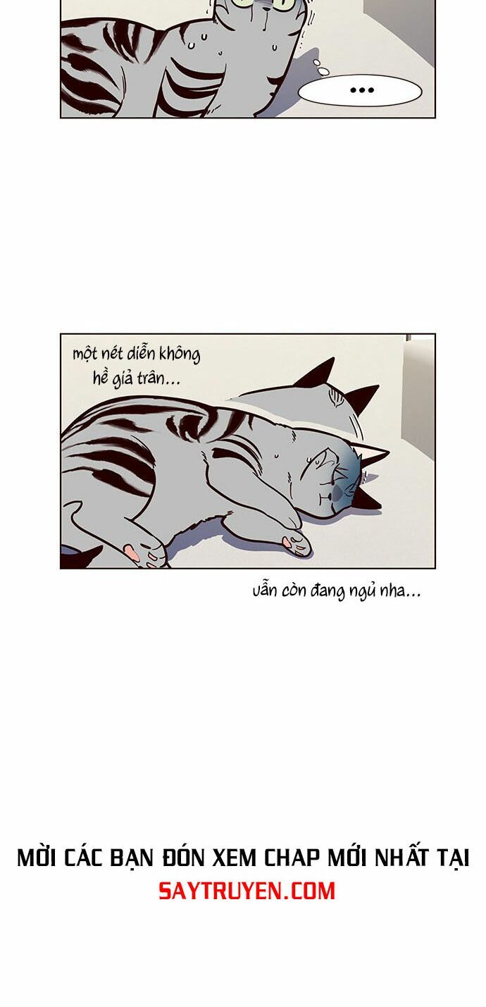 Hóa thân thành mèo chapter 16 - Upload bởi truyensieuhay.com
