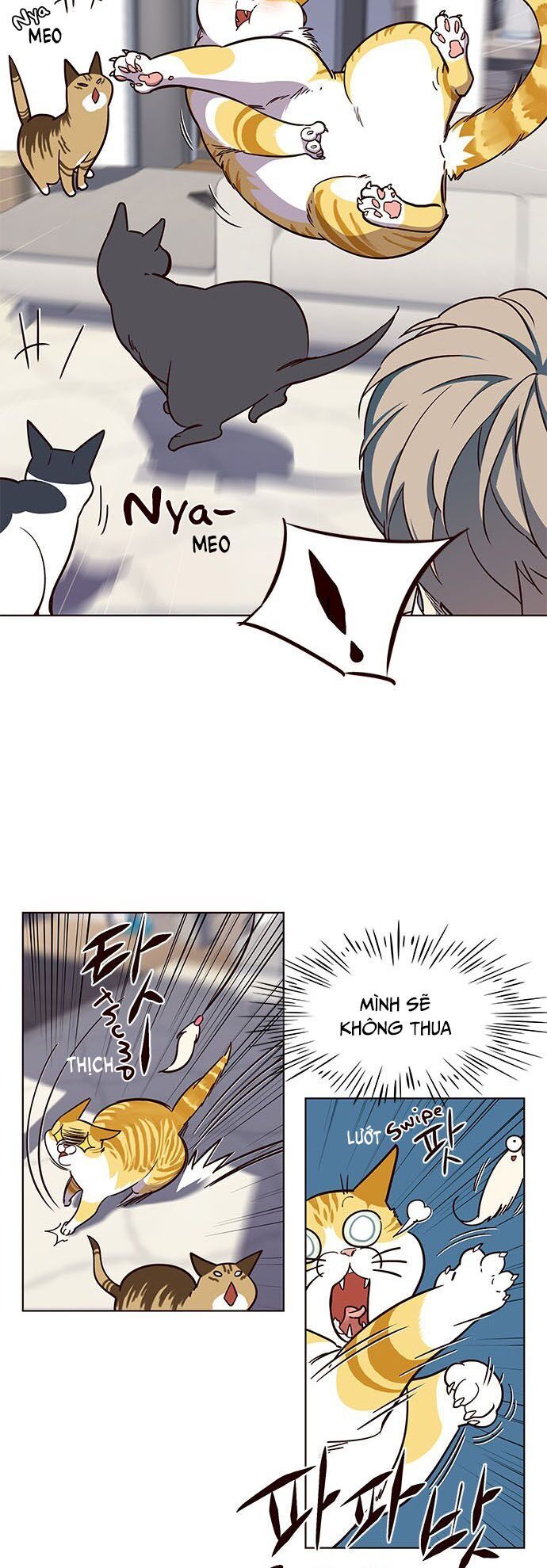 Hóa thân thành mèo chapter 16 - Upload bởi truyensieuhay.com