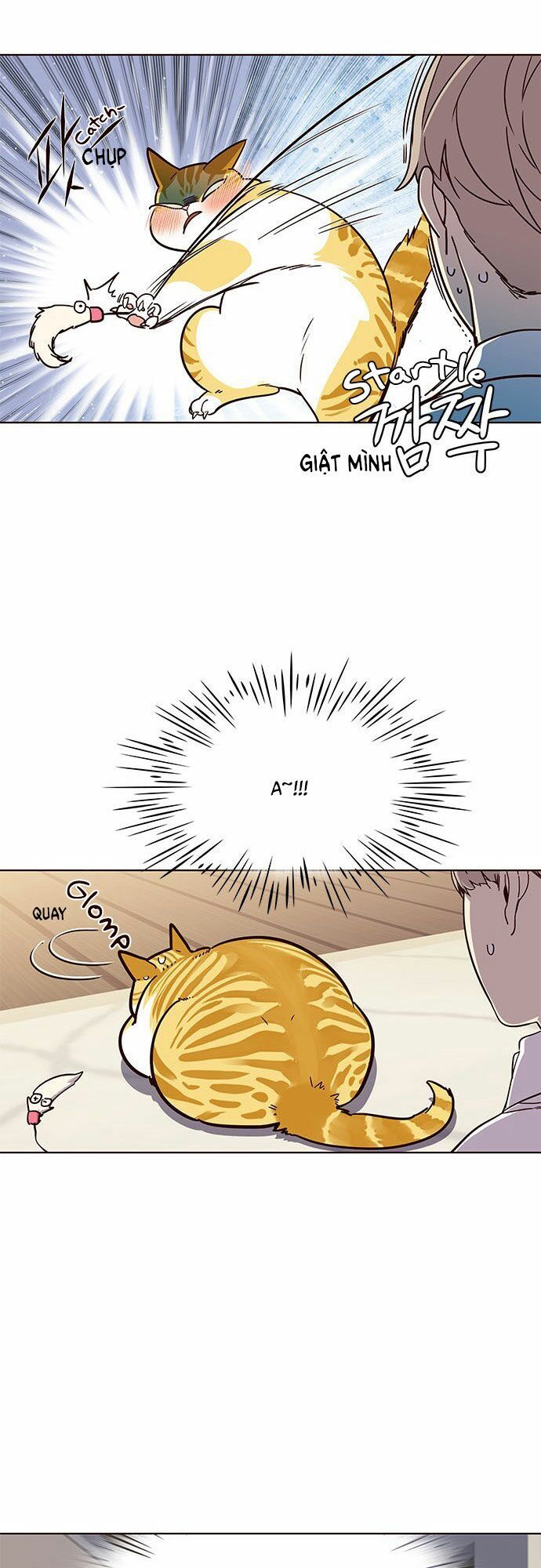 Hóa thân thành mèo chapter 16 - Upload bởi truyensieuhay.com