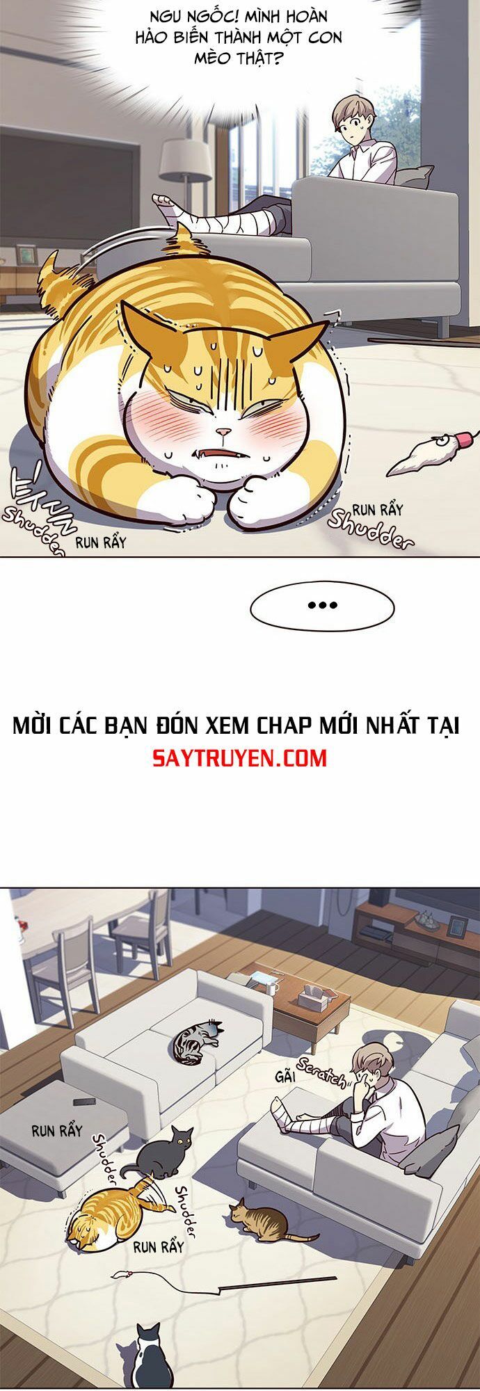 Hóa thân thành mèo chapter 16 - Upload bởi truyensieuhay.com