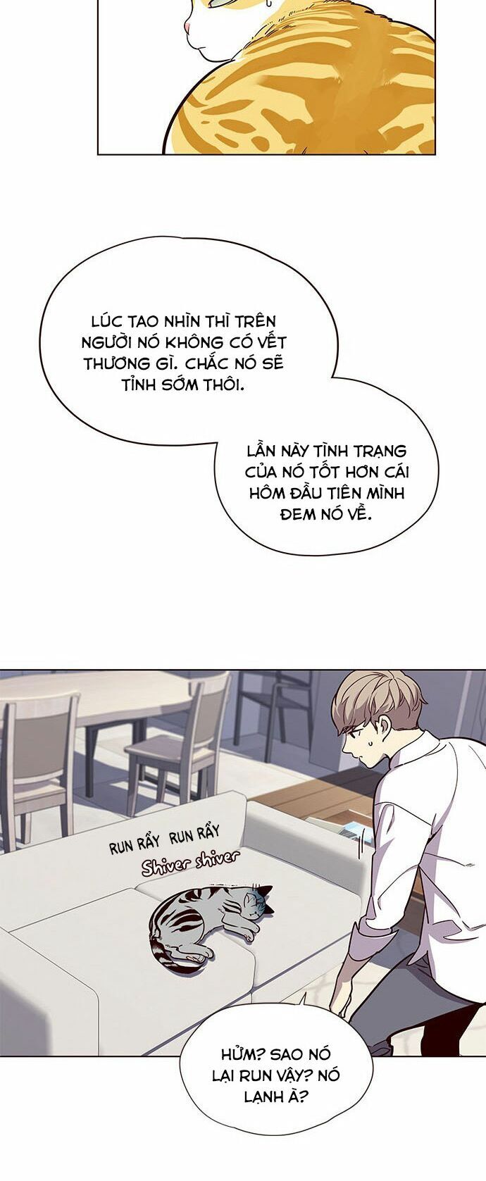 Hóa thân thành mèo chapter 16 - Upload bởi truyensieuhay.com