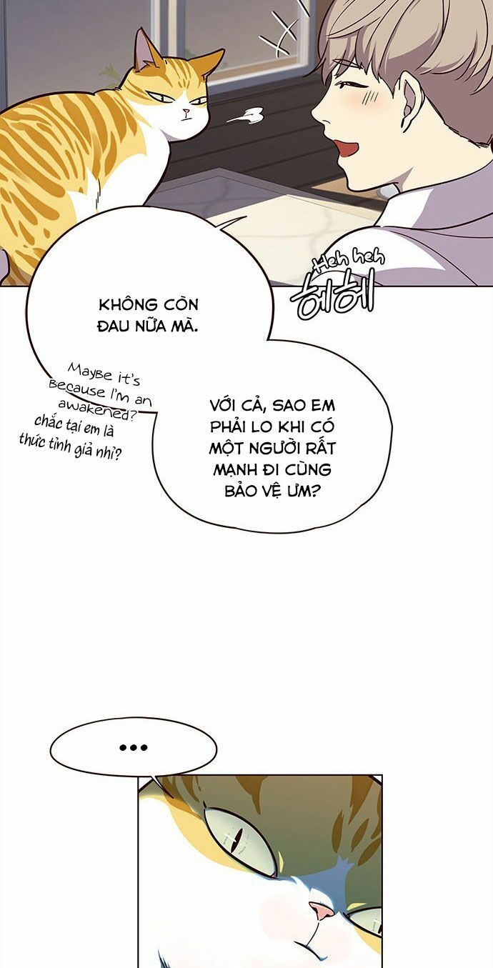 Hóa thân thành mèo chapter 16 - Upload bởi truyensieuhay.com