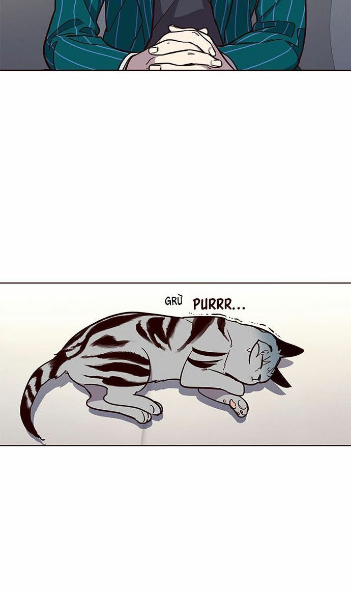Hóa thân thành mèo chapter 16 - Upload bởi truyensieuhay.com