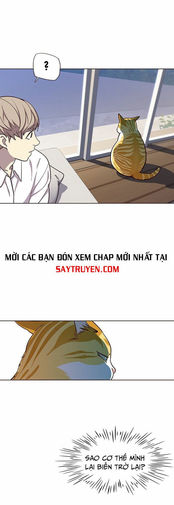 Hóa thân thành mèo chapter 16 - Upload bởi truyensieuhay.com