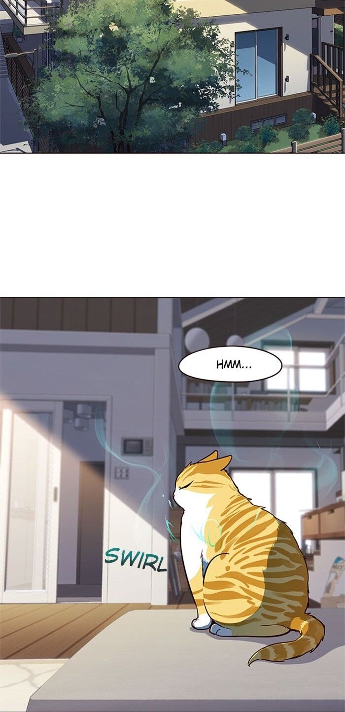 Hóa thân thành mèo chapter 17 - Upload bởi truyensieuhay.com