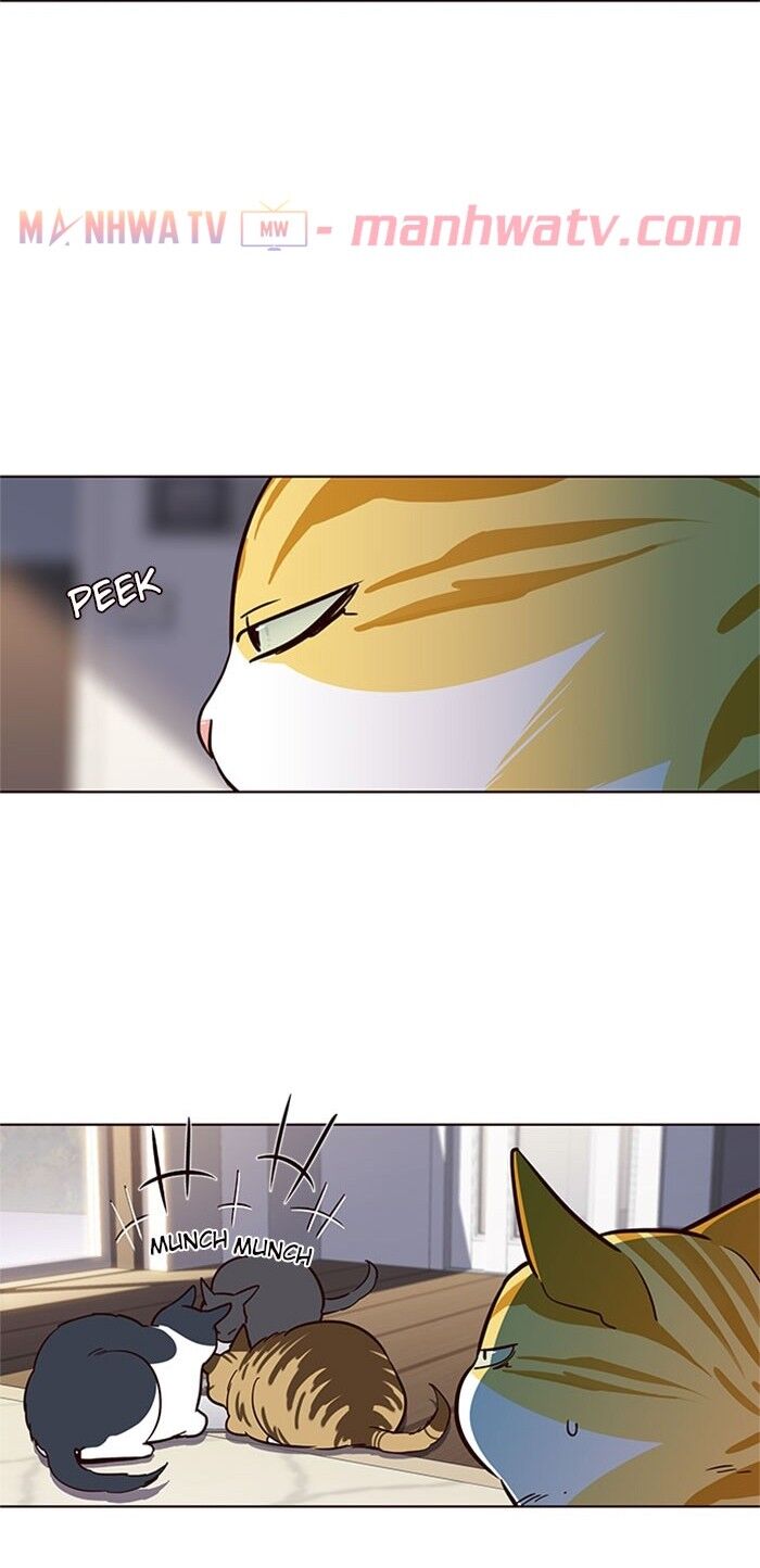 Hóa thân thành mèo chapter 17 - Upload bởi truyensieuhay.com