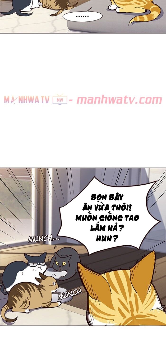 Hóa thân thành mèo chapter 17 - Upload bởi truyensieuhay.com
