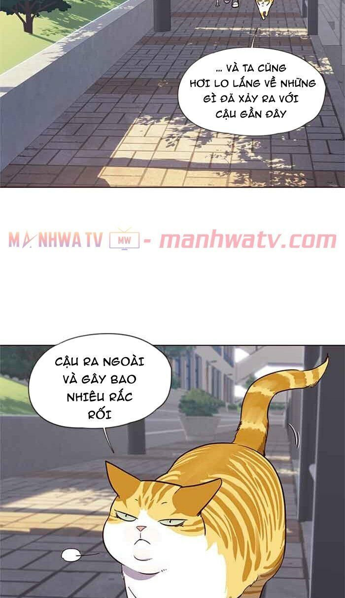 Hóa thân thành mèo chapter 18 - Upload bởi truyensieuhay.com