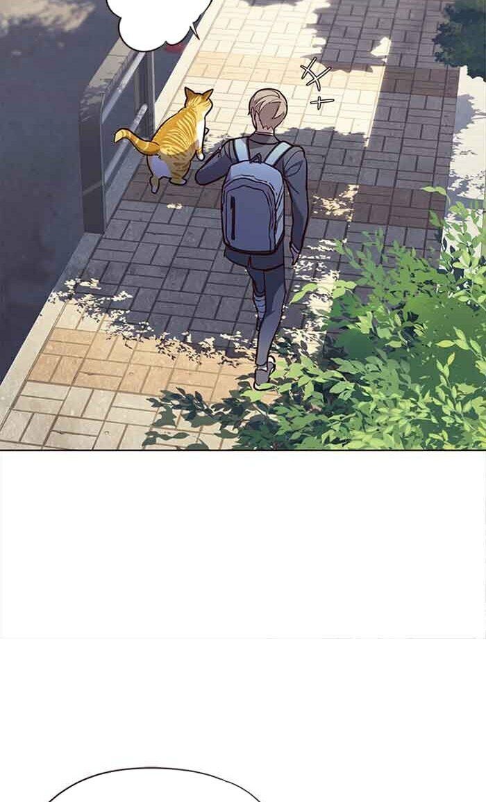 Hóa thân thành mèo chapter 18 - Upload bởi truyensieuhay.com