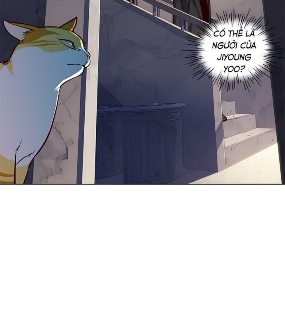 Hóa thân thành mèo chapter 19 - Upload bởi truyensieuhay.com