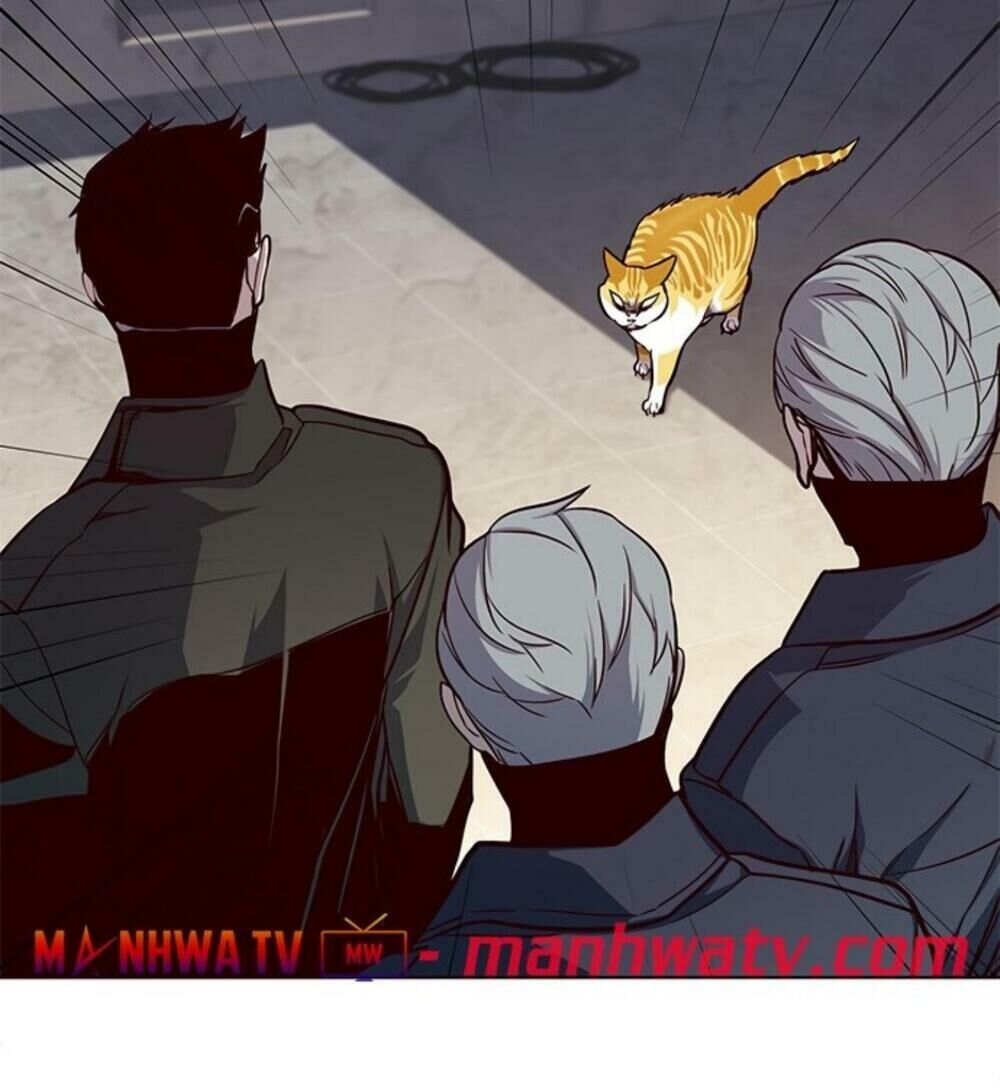 Hóa thân thành mèo chapter 19 - Upload bởi truyensieuhay.com