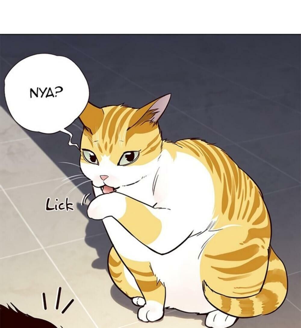 Hóa thân thành mèo chapter 19 - Upload bởi truyensieuhay.com