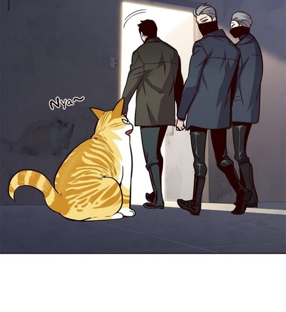 Hóa thân thành mèo chapter 19 - Upload bởi truyensieuhay.com