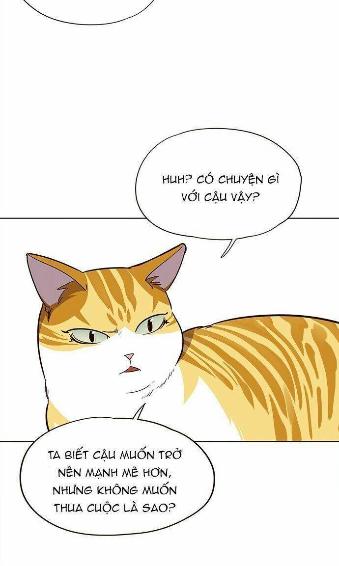 Hóa thân thành mèo chapter 21 - Upload bởi truyensieuhay.com