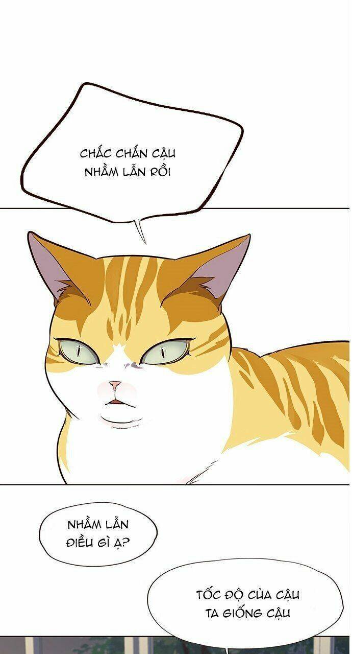 Hóa thân thành mèo chapter 21 - Upload bởi truyensieuhay.com