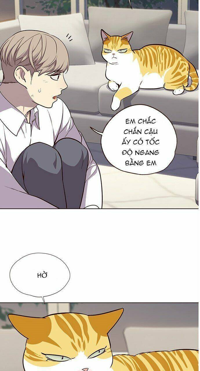 Hóa thân thành mèo chapter 21 - Upload bởi truyensieuhay.com