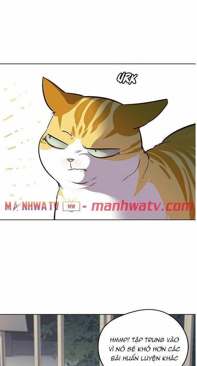 Hóa thân thành mèo chapter 21 - Upload bởi truyensieuhay.com