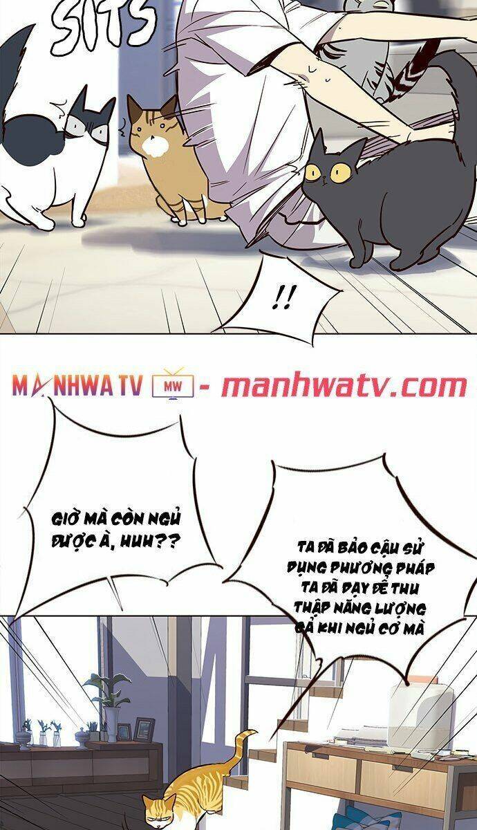 Hóa thân thành mèo chapter 21 - Upload bởi truyensieuhay.com