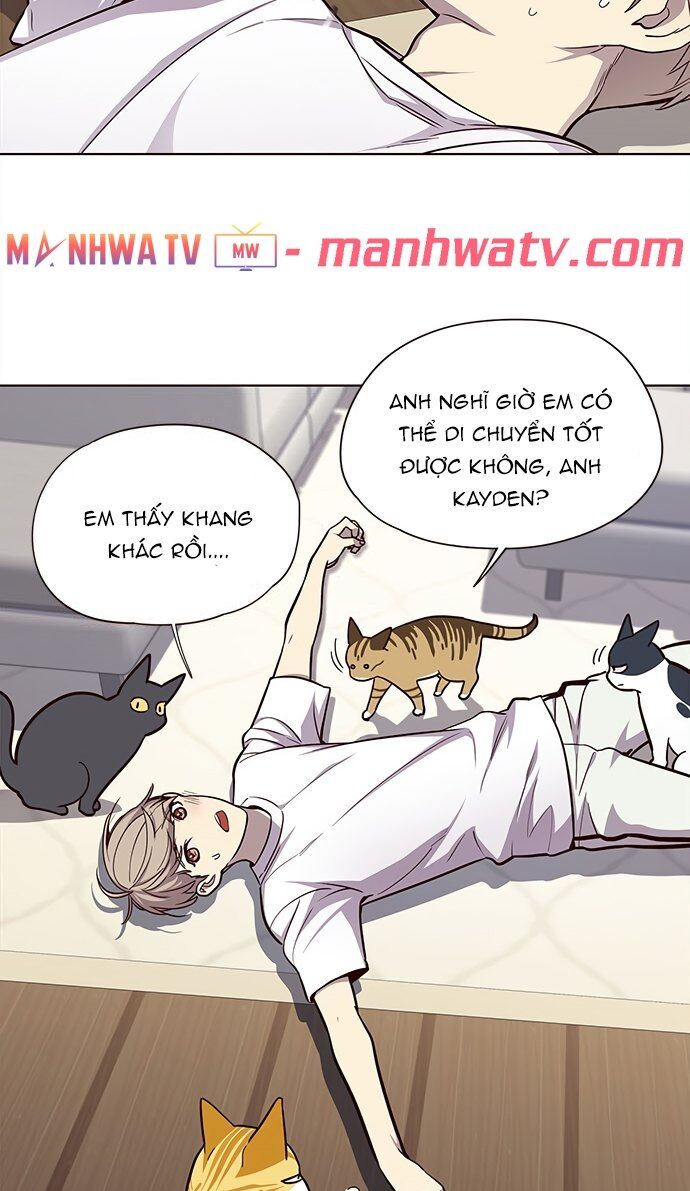 Hóa thân thành mèo chapter 22 - Upload bởi truyensieuhay.com