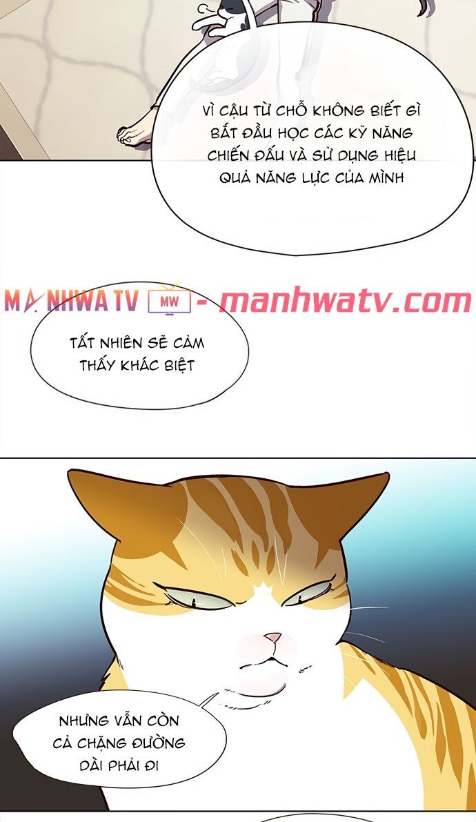 Hóa thân thành mèo chapter 22 - Upload bởi truyensieuhay.com