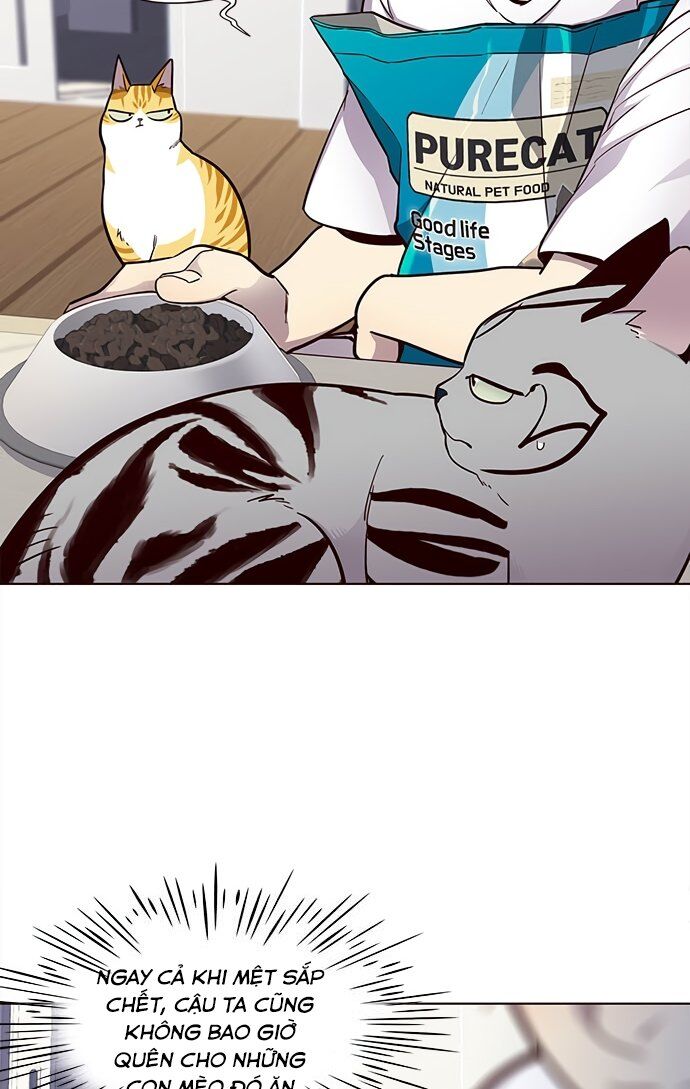 Hóa thân thành mèo chapter 22 - Upload bởi truyensieuhay.com