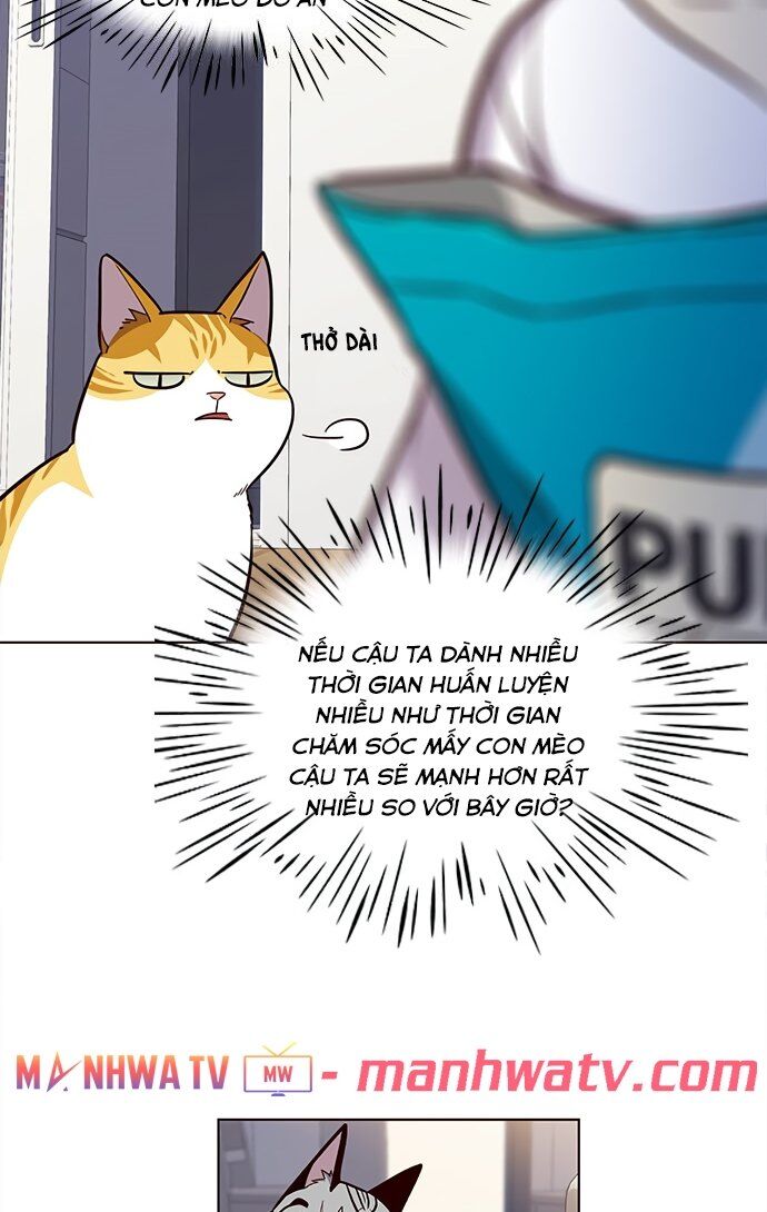 Hóa thân thành mèo chapter 22 - Upload bởi truyensieuhay.com