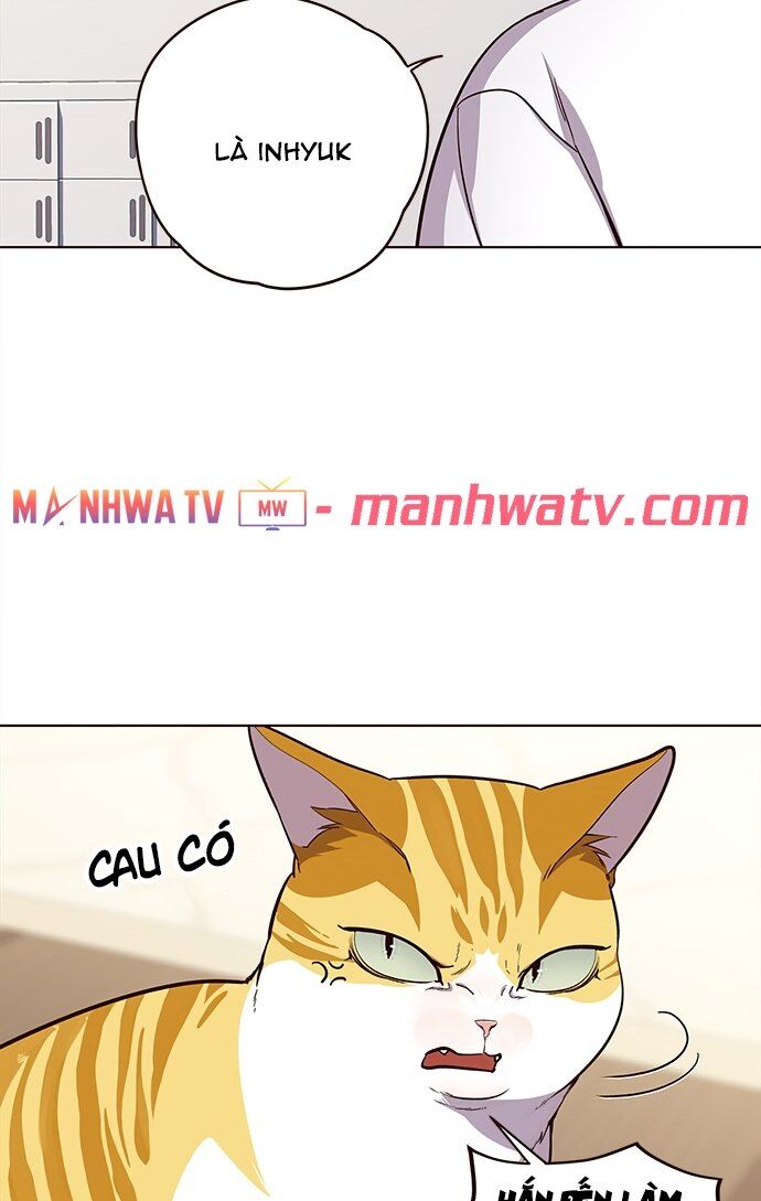 Hóa thân thành mèo chapter 22 - Upload bởi truyensieuhay.com