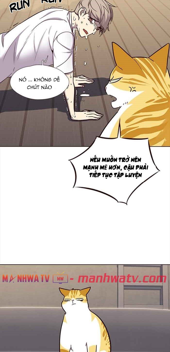 Hóa thân thành mèo chapter 23 - Upload bởi truyensieuhay.com