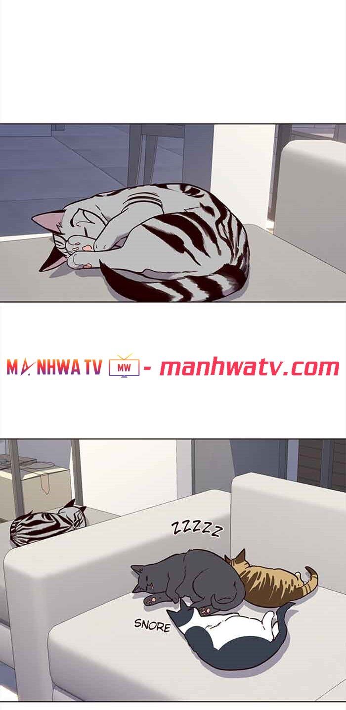 Hóa thân thành mèo chapter 23 - Upload bởi truyensieuhay.com