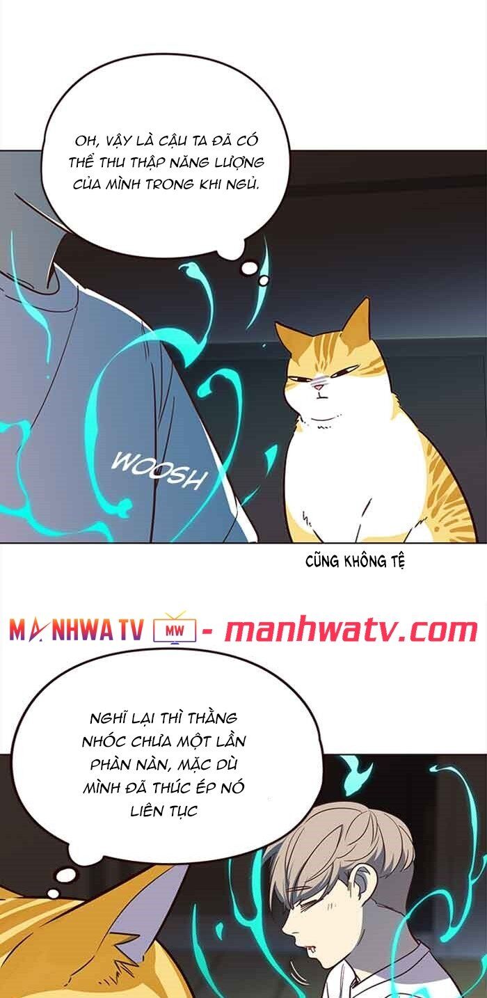 Hóa thân thành mèo chapter 23 - Upload bởi truyensieuhay.com