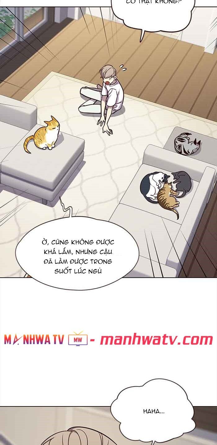 Hóa thân thành mèo chapter 23 - Upload bởi truyensieuhay.com