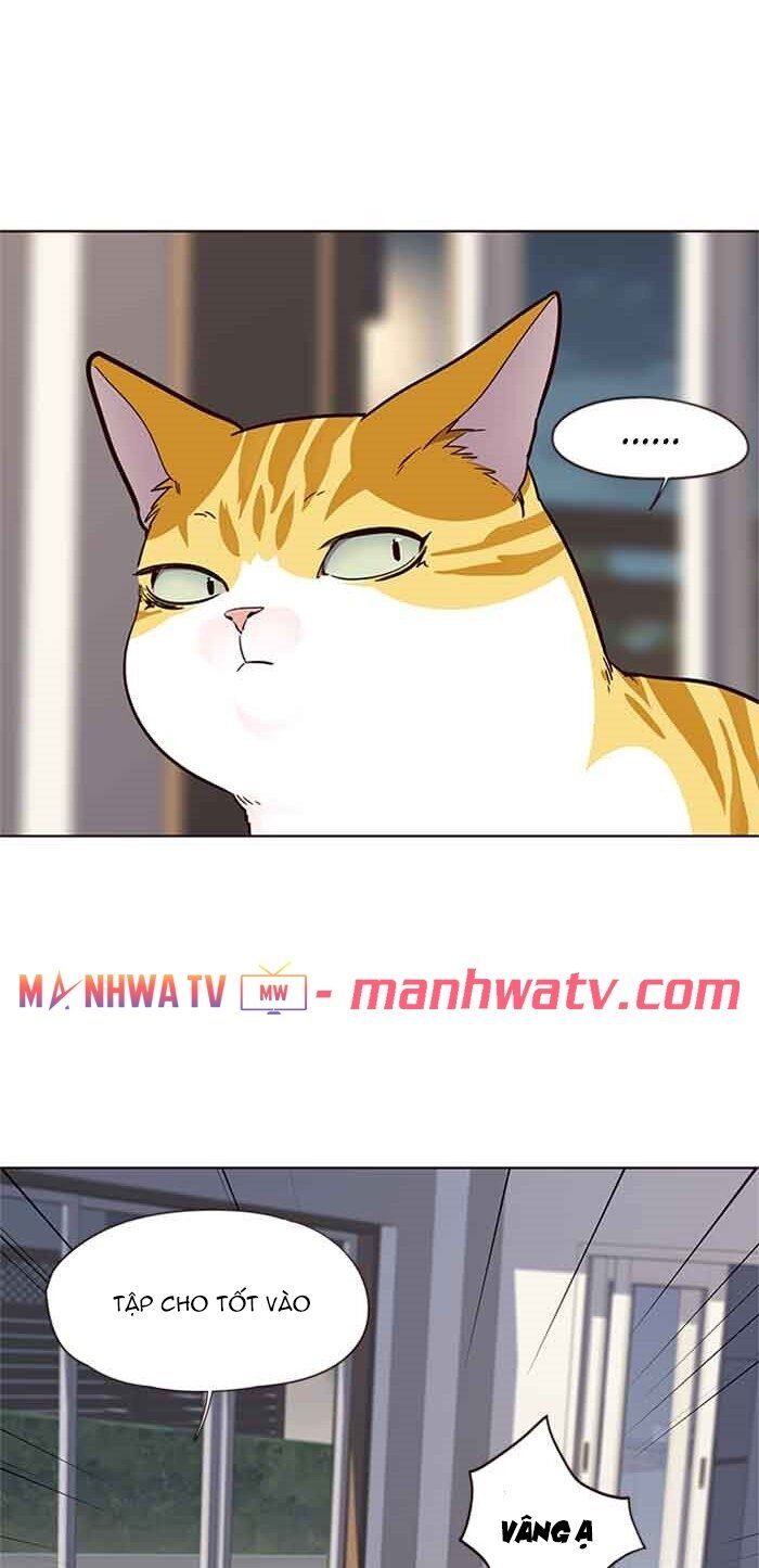 Hóa thân thành mèo chapter 23 - Upload bởi truyensieuhay.com